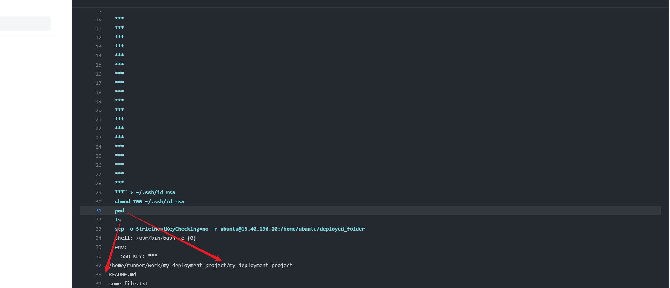 Current working directory of the runner